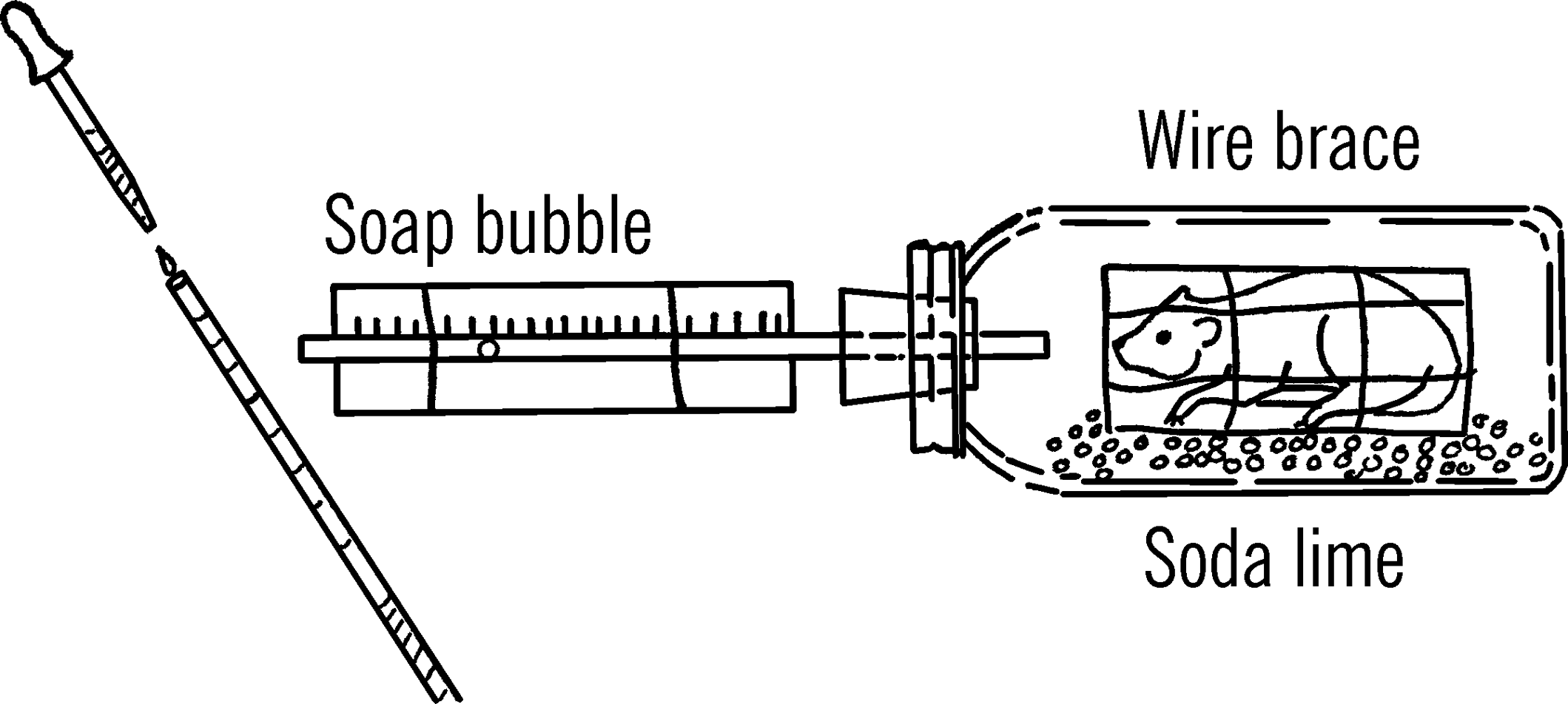 Metabolism chamber.