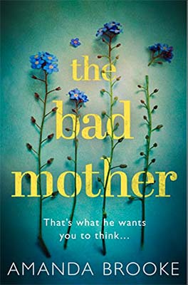 Advertisement image: The Bad Mother by Amanda Brooke