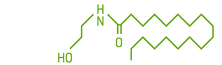 OEA molecule