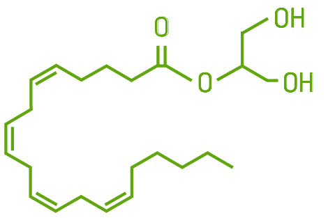 2AG molecule