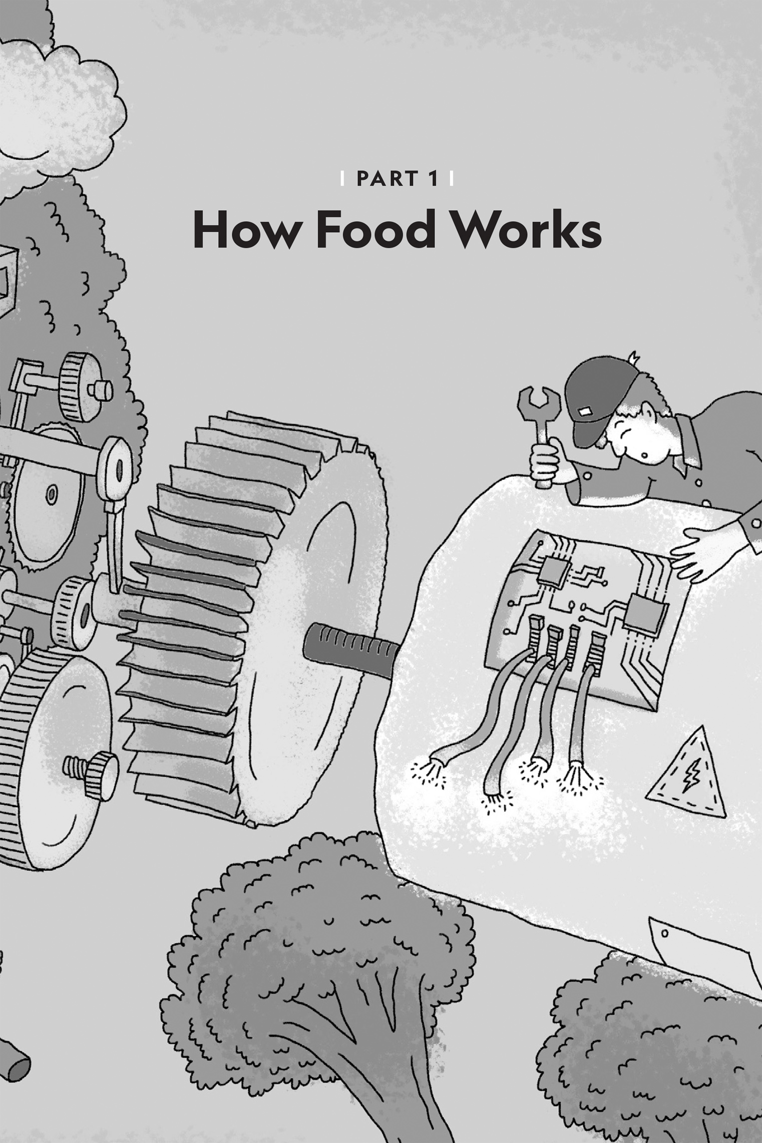 | PART 1 | How Food Works