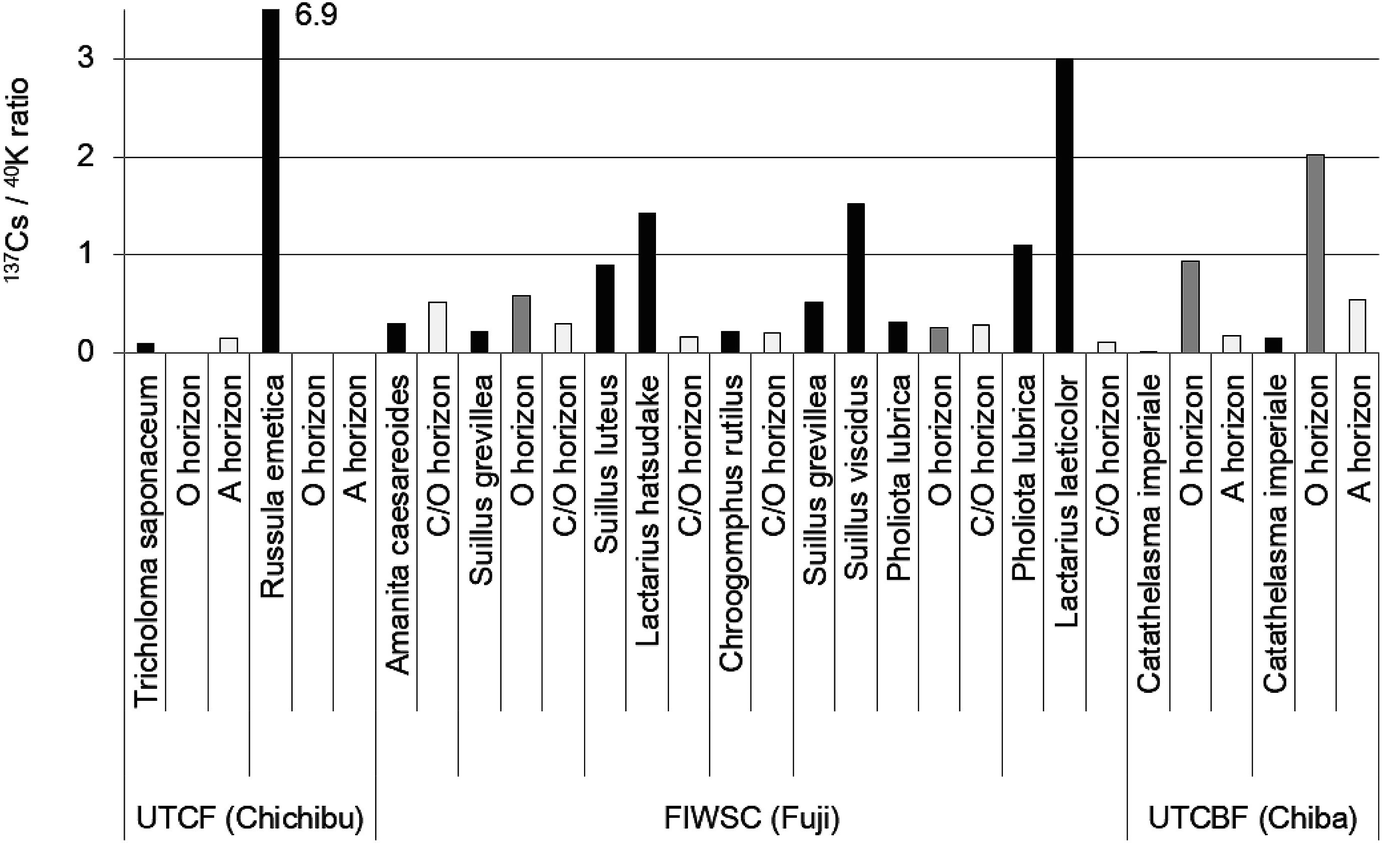 ../images/473297_1_En_12_Chapter/473297_1_En_12_Fig9_HTML.png