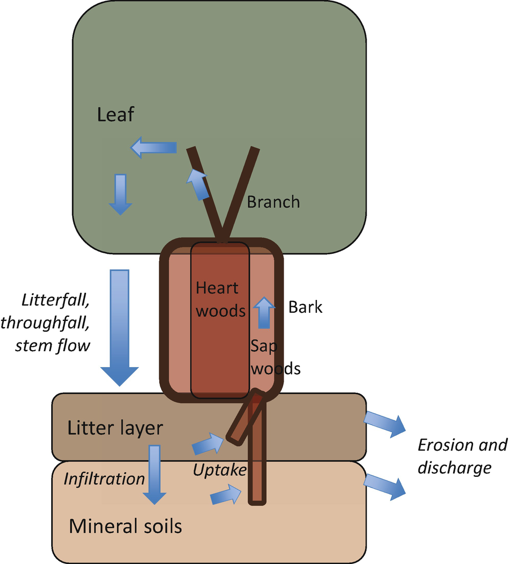 ../images/473297_1_En_13_Chapter/473297_1_En_13_Fig2_HTML.png