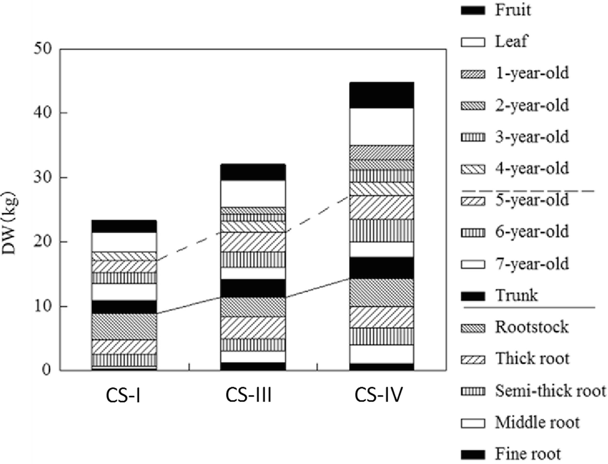 ../images/473297_1_En_9_Chapter/473297_1_En_9_Fig3_HTML.png