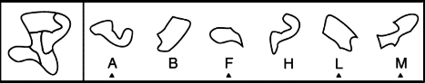 Figure depicting spatial relations in visualization test, where an irregularly shaped object is placed in a box followed by a series of pieces of various shapes needed to form the whole object. 