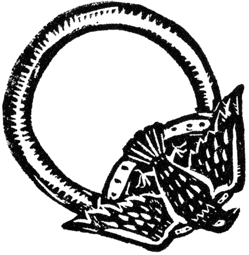 Anillo
