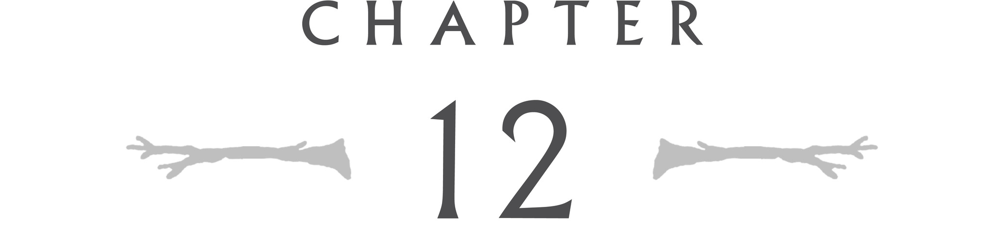 Chapter 12