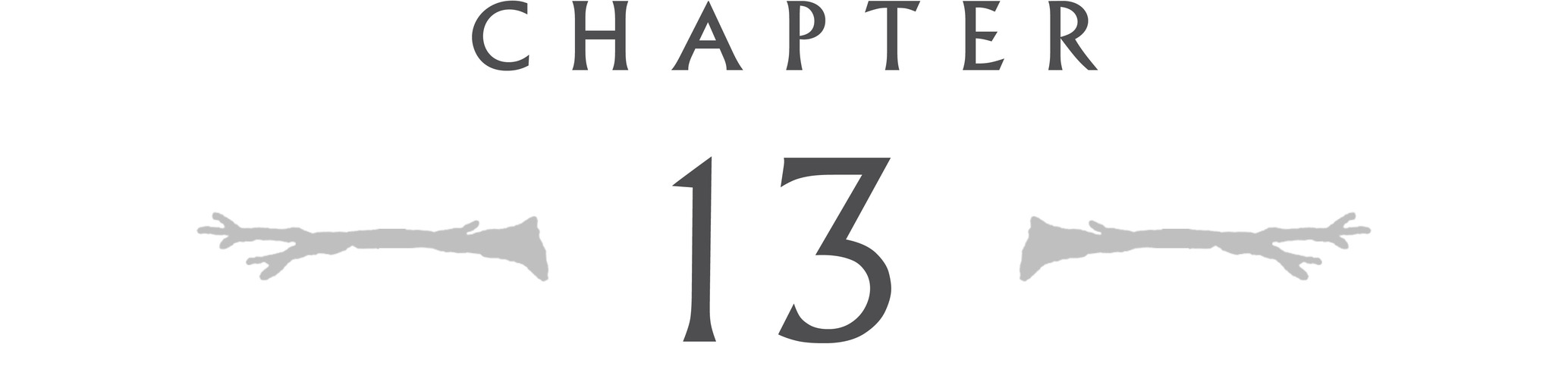 Chapter 13