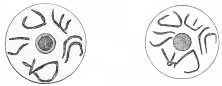 Nos. 292, 293. Two Trojan Whorls from the same depth (7 M.) with an identical inscription.