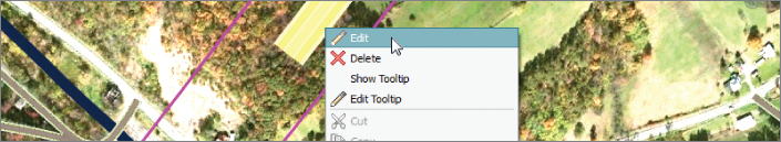 Screenshot of the context menu with the Edit command pointed by the cursor.