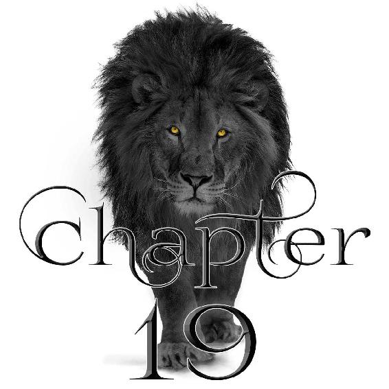 chapter19