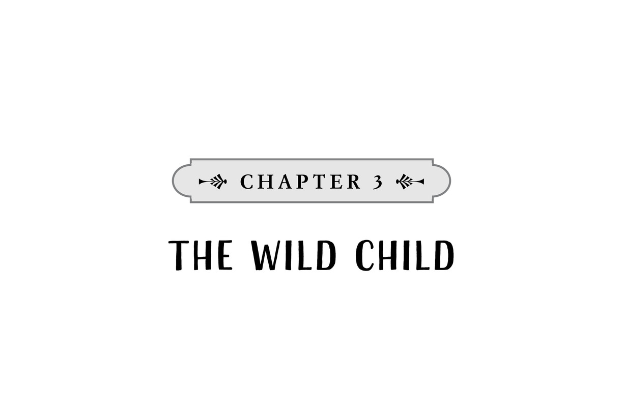 CHAPTER 3 The Wild Child