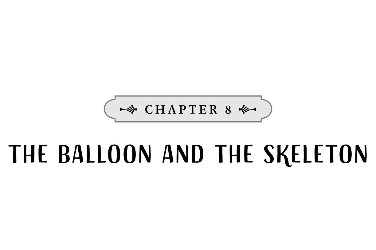 CHAPTER 8 The Balloon and the Skeleton