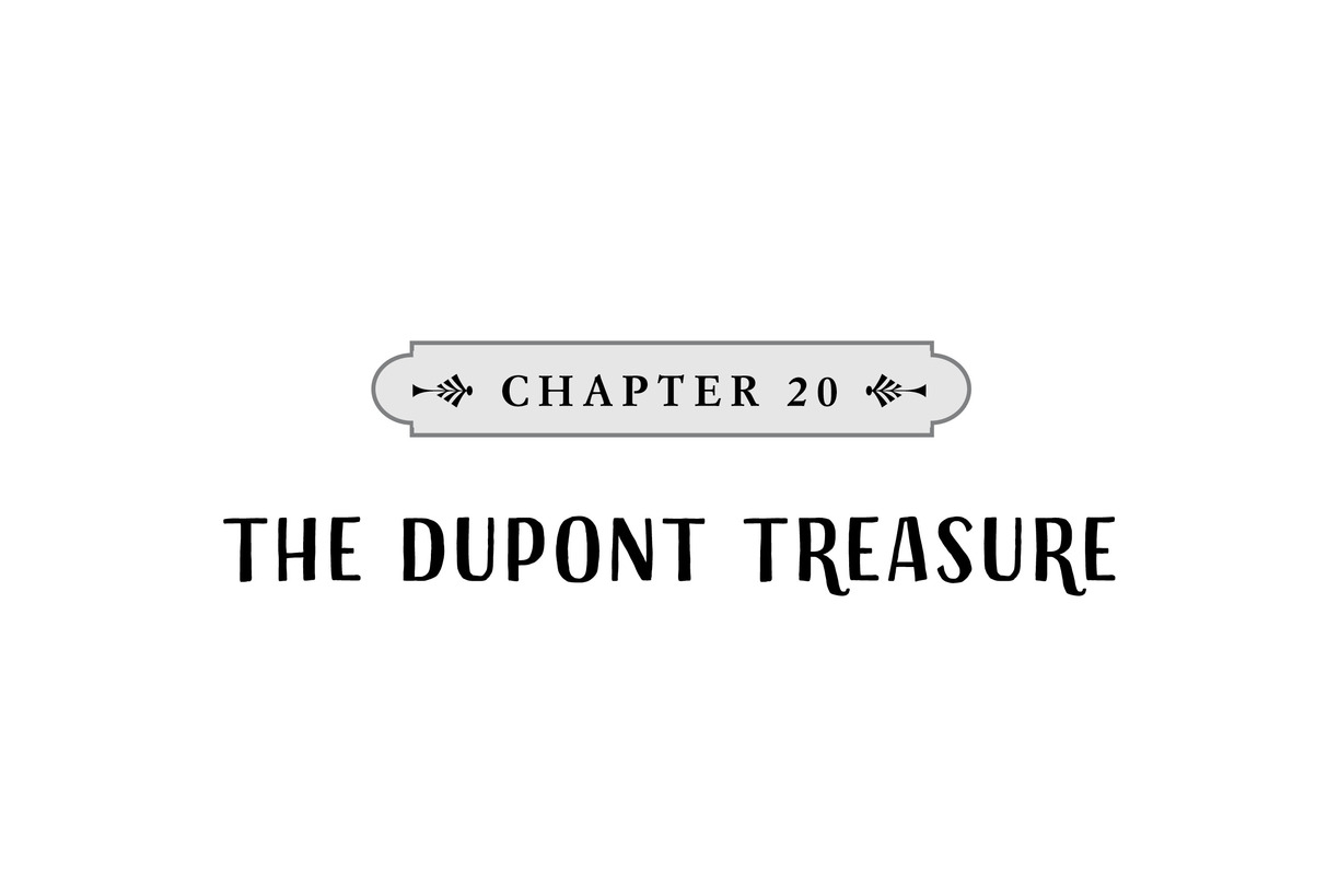 CHAPTER 20 The DuPont Treasure