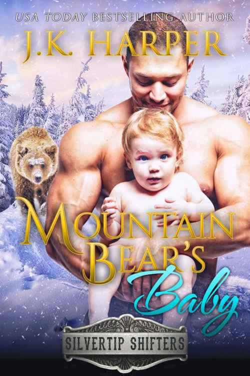 Mountain Bear’s Baby cover