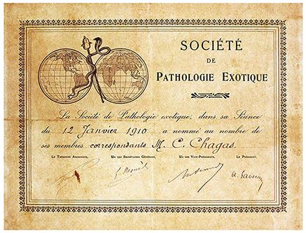 Diploma de membro correspondente da Sociedade de Patologia Exótica de Paris, 12 jan. 1910 Acervo Casa de Oswaldo Cruz Certificate of corresponding membership in the Society of Exotic Pathology of Paris, Jan. 12, 1910