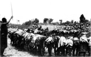 [Photograph: Kikuyu Women Flailing Grain]