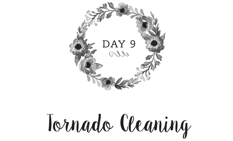 Day 9: Tornado Cleaning