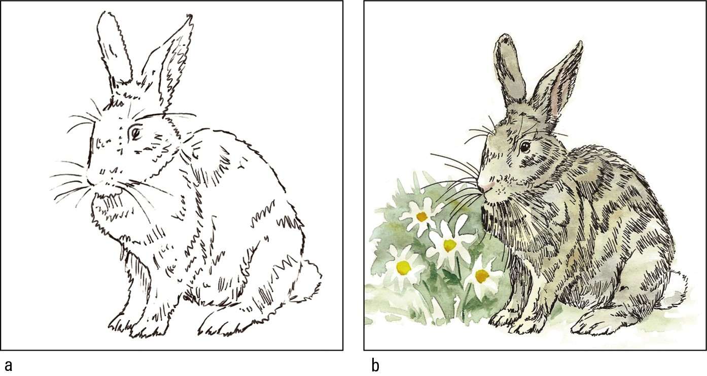 Figure 8-15: Bunny, from tracing to final painting.