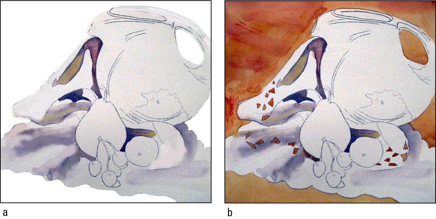 Figure 9-25: Paint the shadows first, and then paint the background while the shadows dry.