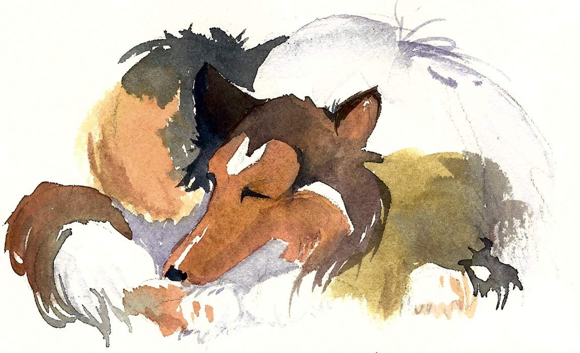 Figure 12-1: Dog at rest.