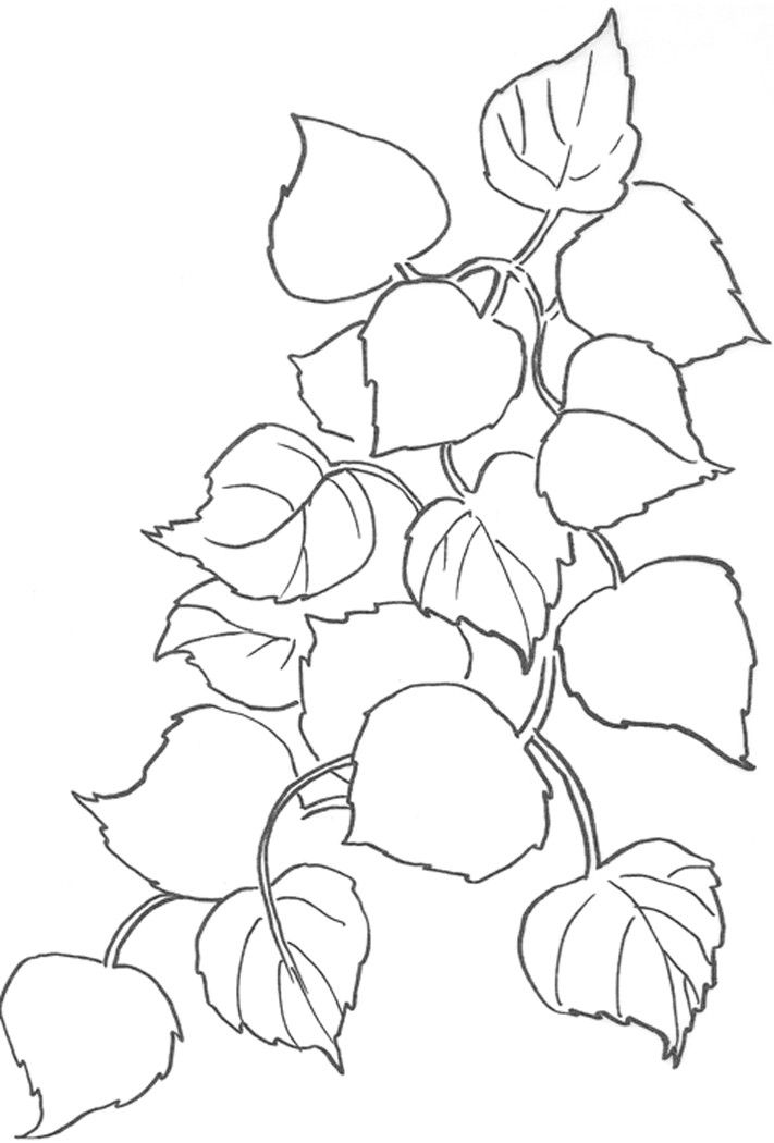 Figure 13-1: A drawing to trace, enlarge, and transfer to watercolor paper.