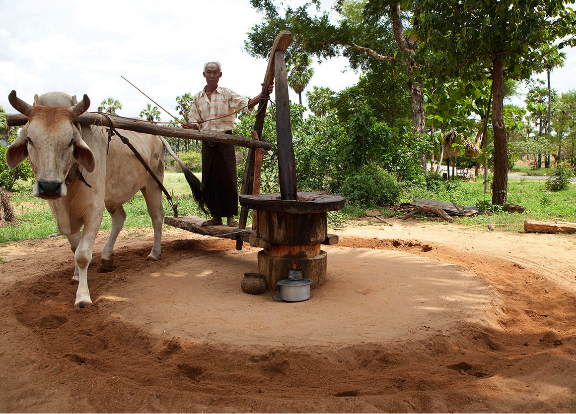 _MG_0018_Myanmar_EC.jpg