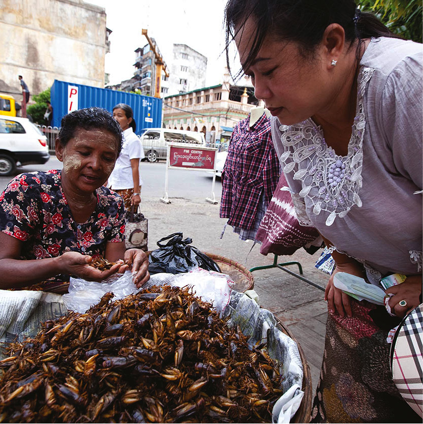 _MG_7068_Myanmar_EC.jpg