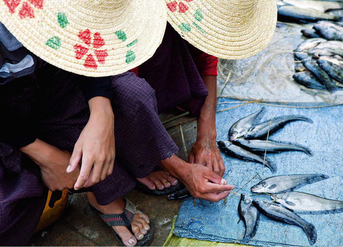 _MG_8675_Myanmar_EC.jpg