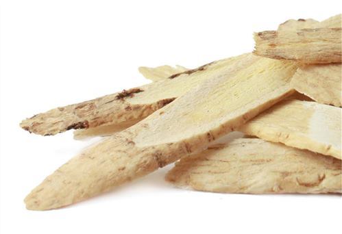 Astragalus-Root-blog