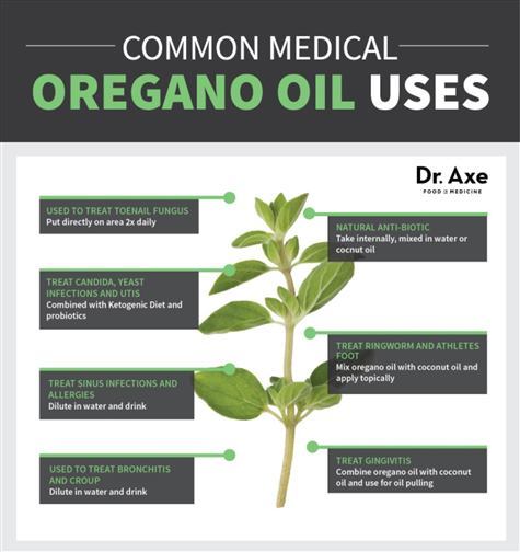 Oregano Uses