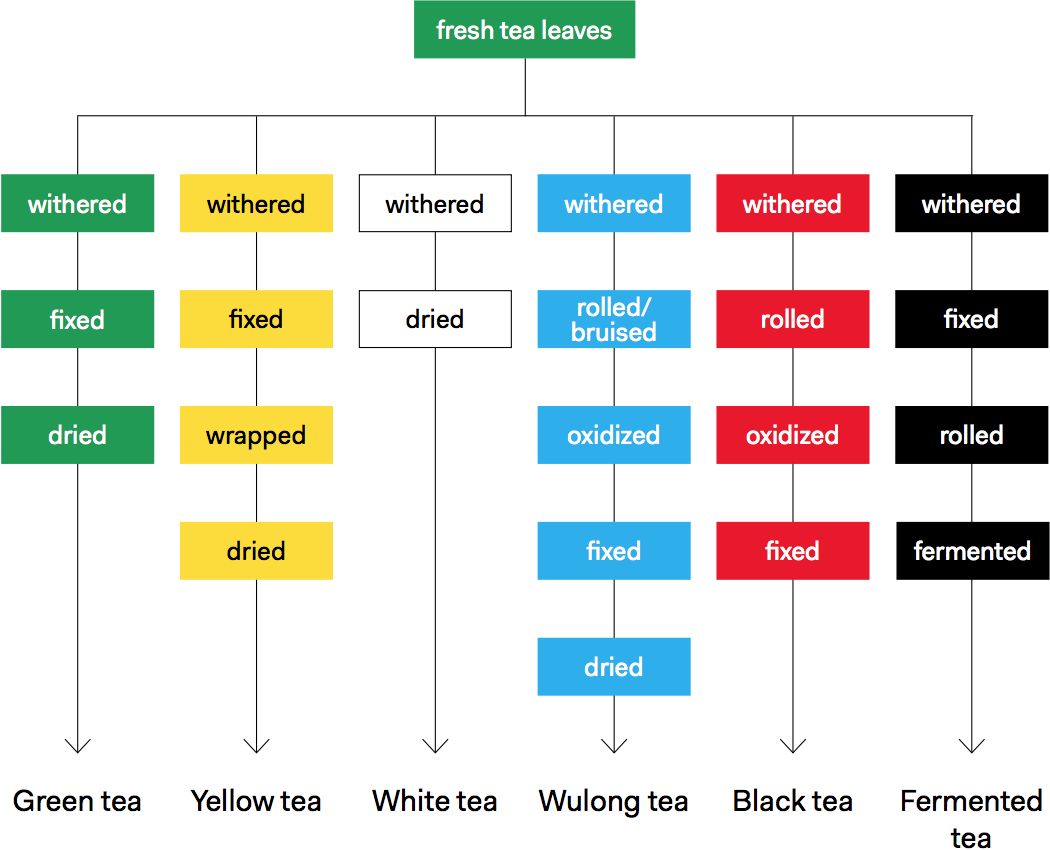 Tea Processing Chart