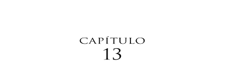 Capítulo 13