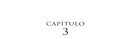 Capítulo 3