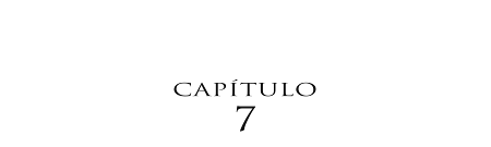 Capítulo 7