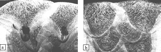 Figure 5.15