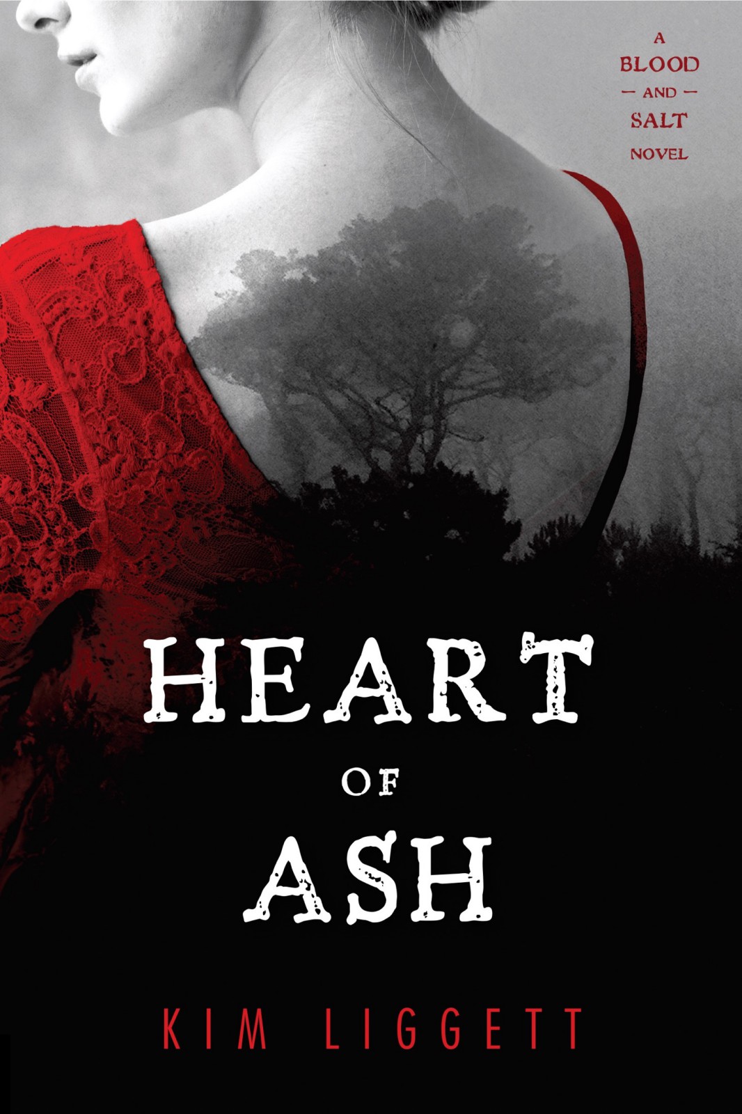 Cover for Heart of Ash