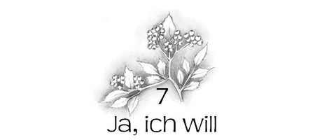 Kapitel 7 Ja, ich will