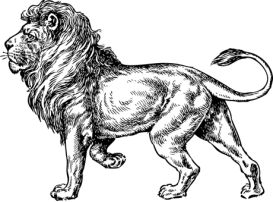 Description: Lion_Animal_Clipart