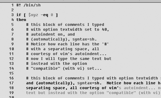 Difference between Vim and vi autoindent