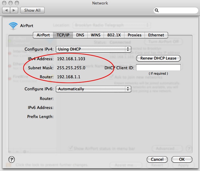 The Advanced Network preferences panel in Mac OS X.