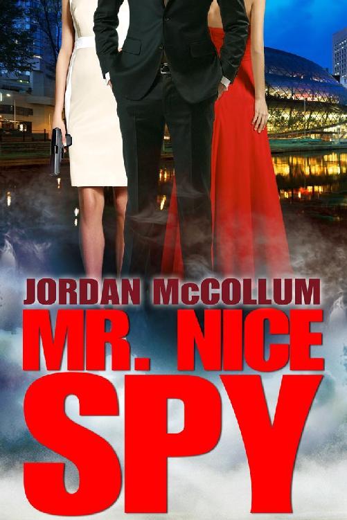 MR. NICE SPY cover