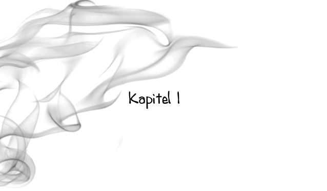 kapitel01.jpg