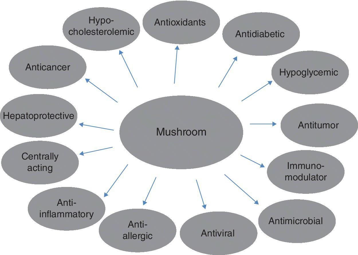 Diverging radial diagram illustrating pharmacological properties of edible mushroom, with ellipses labeled antioxidants, antidiabetic, hypoglycemic, antitumor, centrally acting, antiviral, etc.