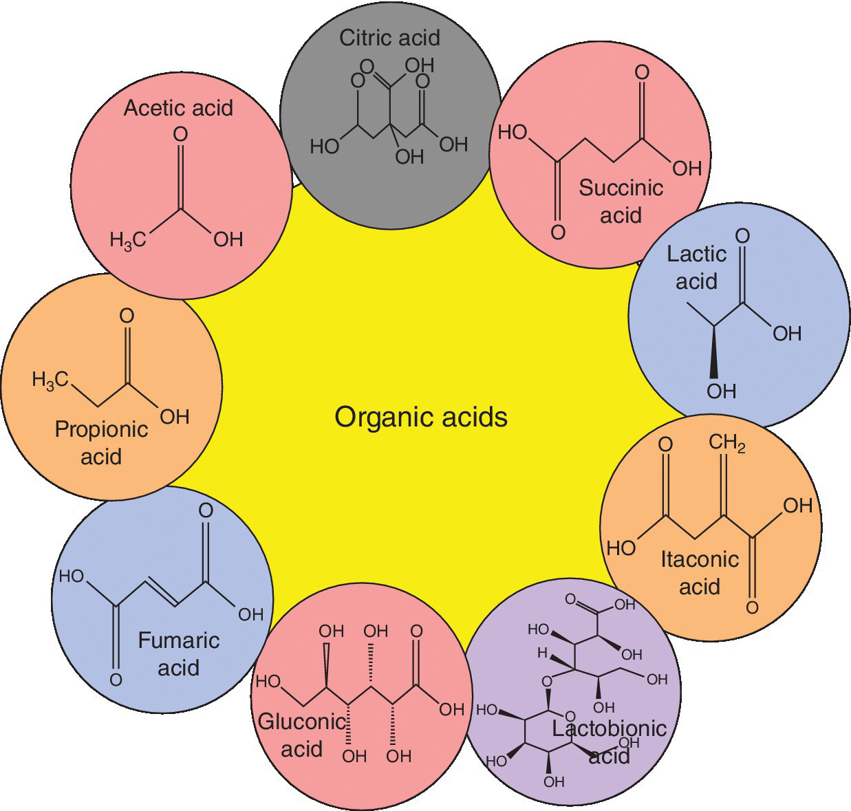 Diagram illustrating the different types of organic acids and summary of their molecular structures, displaying circles labeled citric acid, acetic acid, gluconic acid, fumaric acid, itaconic acid, etc.