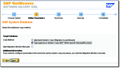 Homogeneous System Copy with SWPM