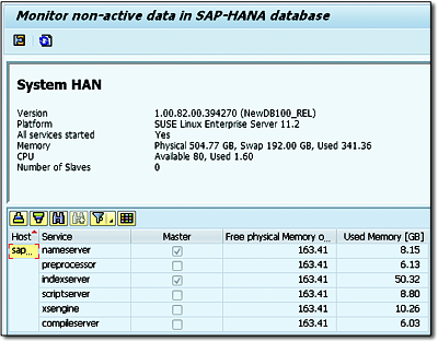 Initial Screen of Transaction RSHDBMON