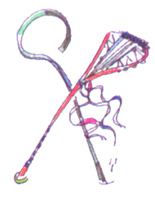 Lacrosse.psd