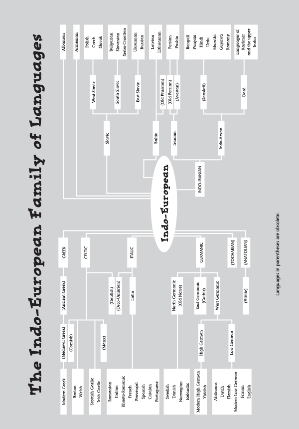 LanguageChart.indd