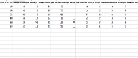 Screenshot of raw date presented in an Excel.